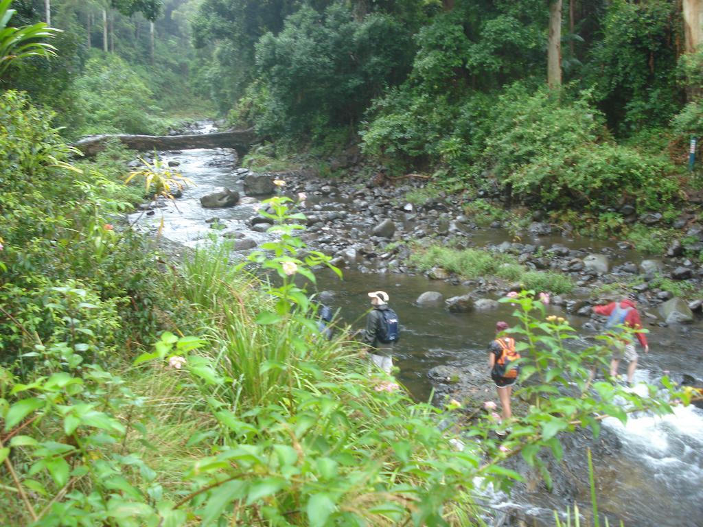 Christmas Creek Cafe & Cabins Lamington Luaran gambar