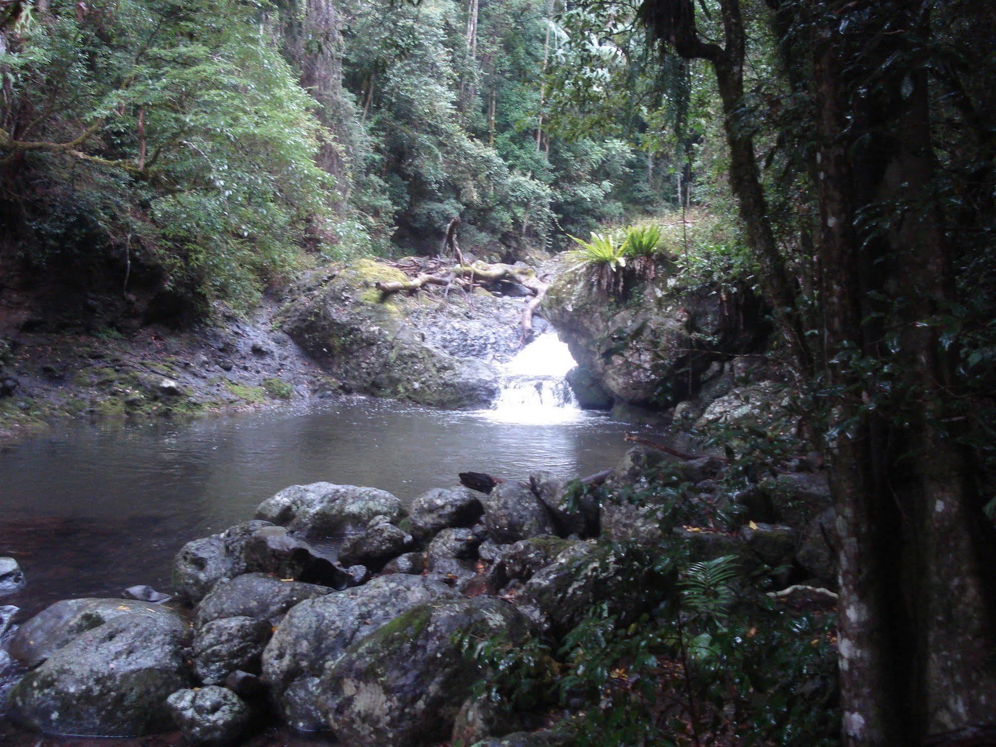Christmas Creek Cafe & Cabins Lamington Luaran gambar